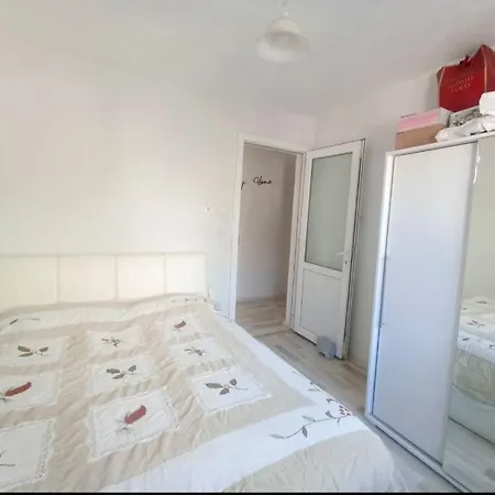 펜션 Pasha House