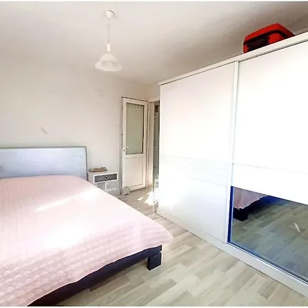 Pasha House 펜션