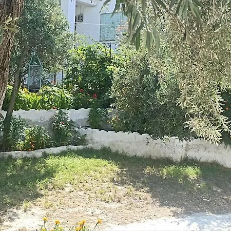 펜션 Pasha House